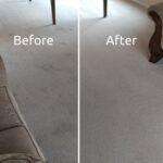 Rainbow-Carpet-Cleaning-before-and-after-carpet-cleaning