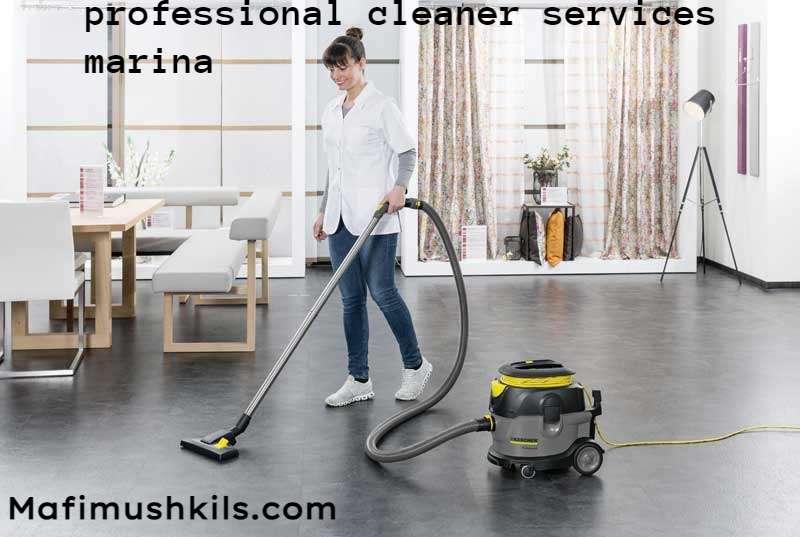 Professional Cleaner Services in Marina