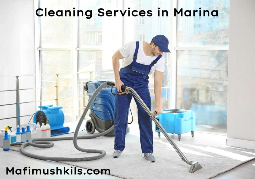 Cleaning Services in Marina