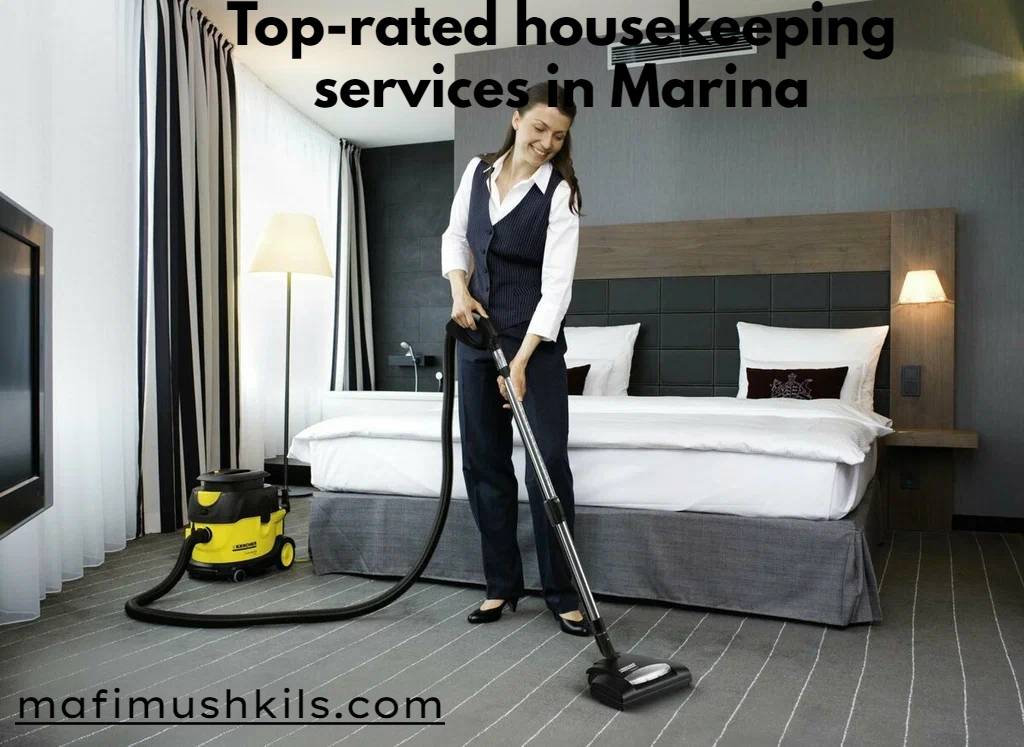 Top-rated housekeeping services in Marina