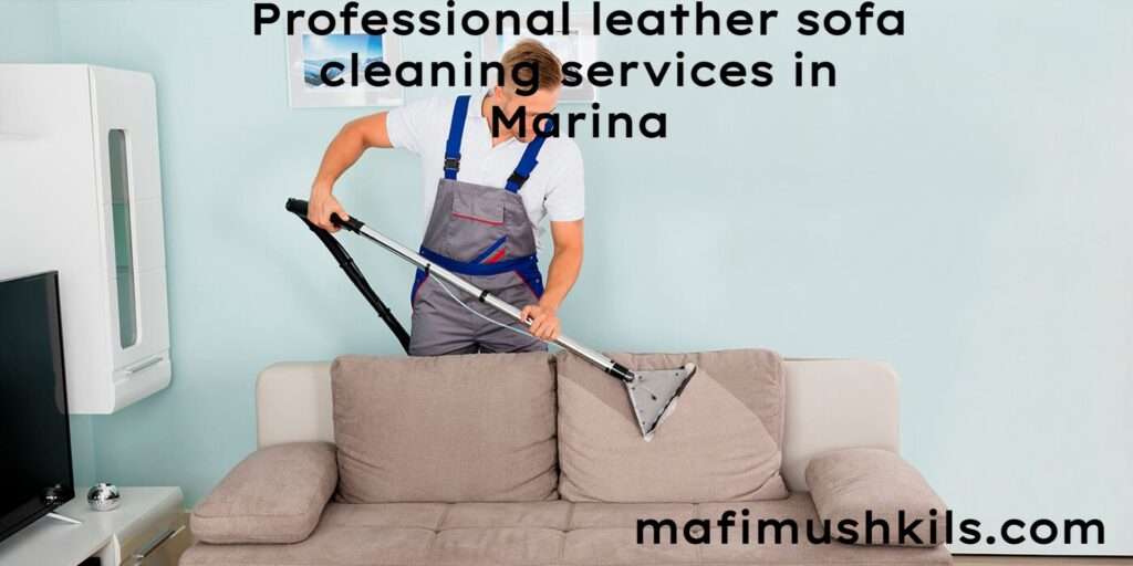 Professional leather sofa cleaning services in Marina