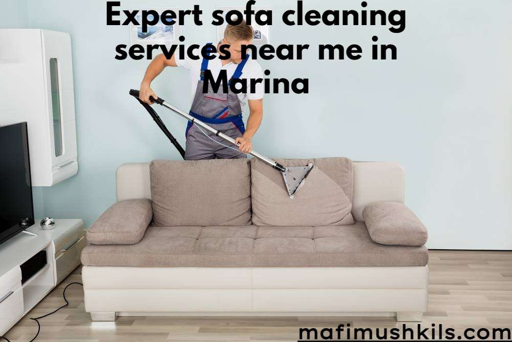 Expert sofa cleaning services near me in Marina