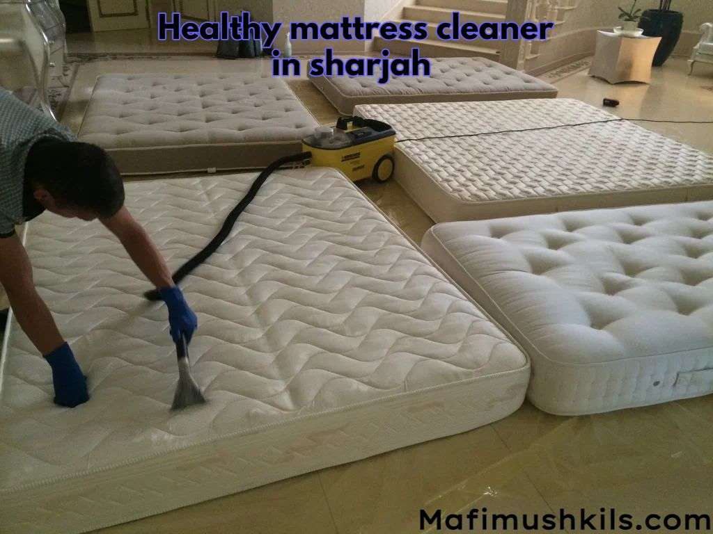 healthy mattress cleaner in sharjah 