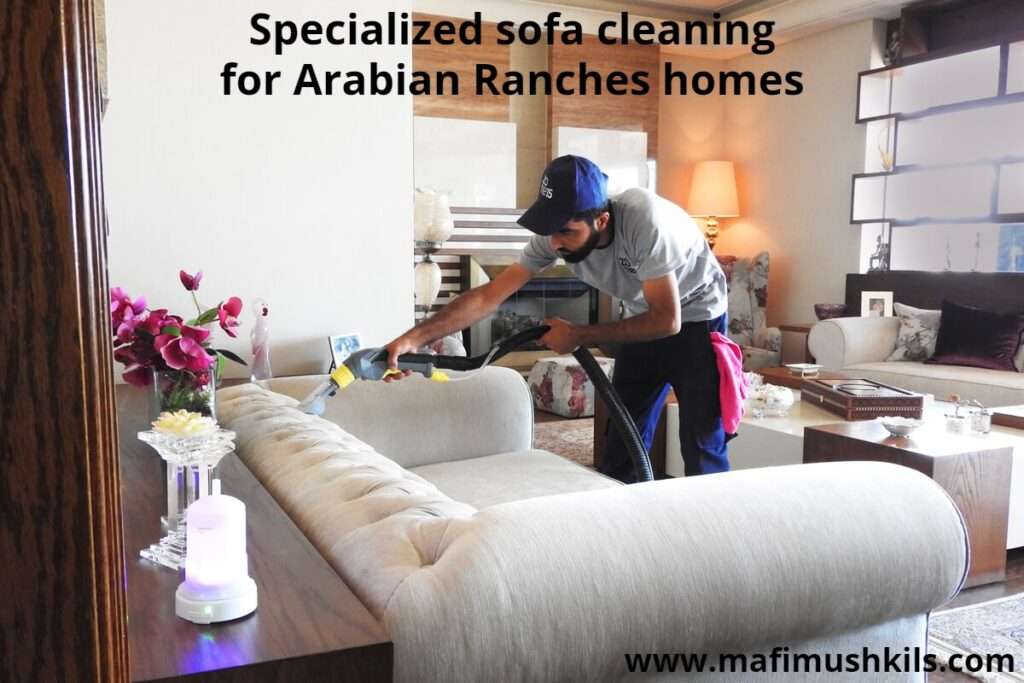 Specialized sofa cleaning for Arabian Ranches homes