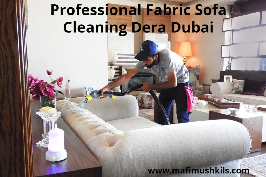 Professional Fabric Sofa Cleaning Dera Dubai