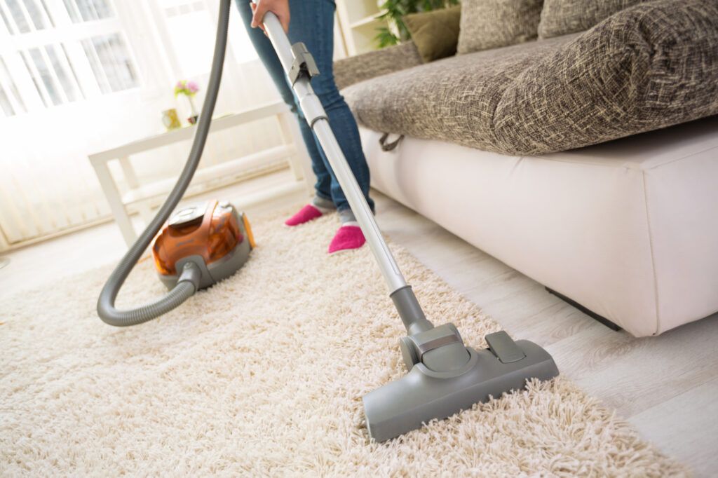 Carpet Cleaning Services in JVC