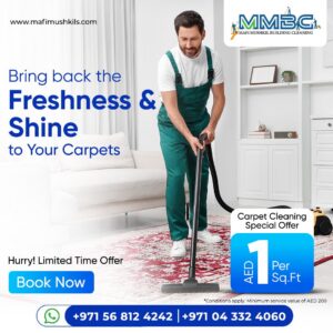 Professional Carpet Cleaning Services